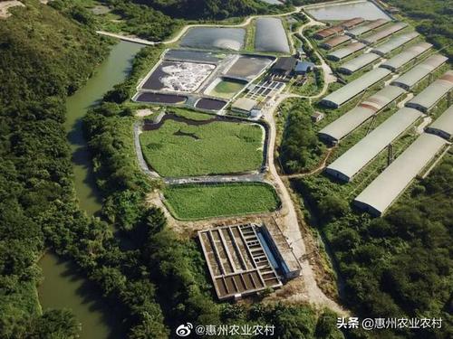粤港澳大湾区绿色农产品基地